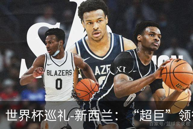 世界杯巡礼-新西兰：“超巨”领衔平民军团，小组突围不是梦！